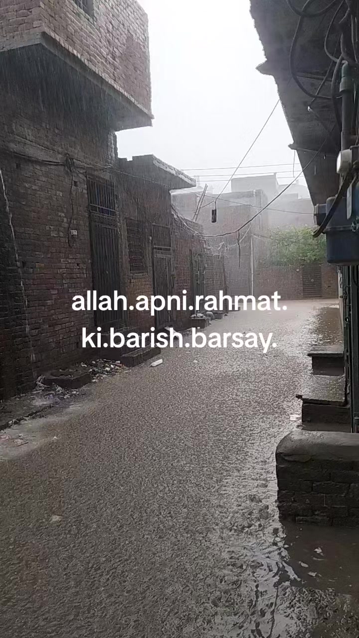 @saifkamboh120