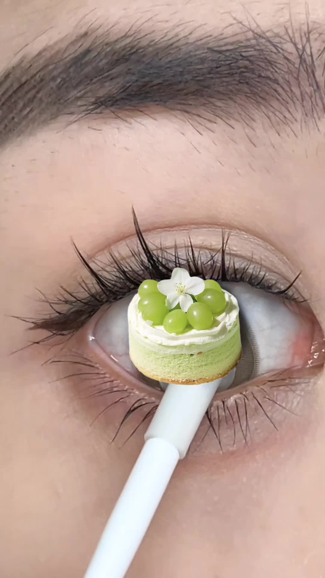 @sigocontacts_official