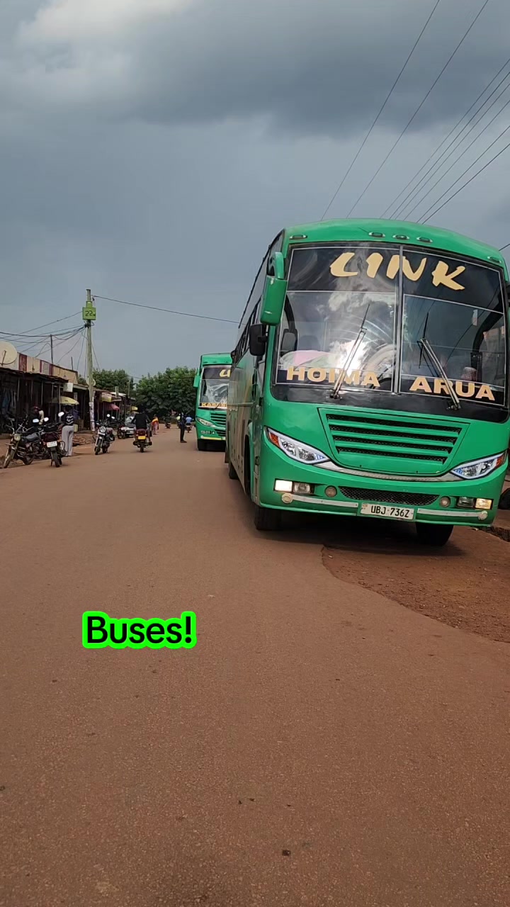 @Link Bus services Ltd