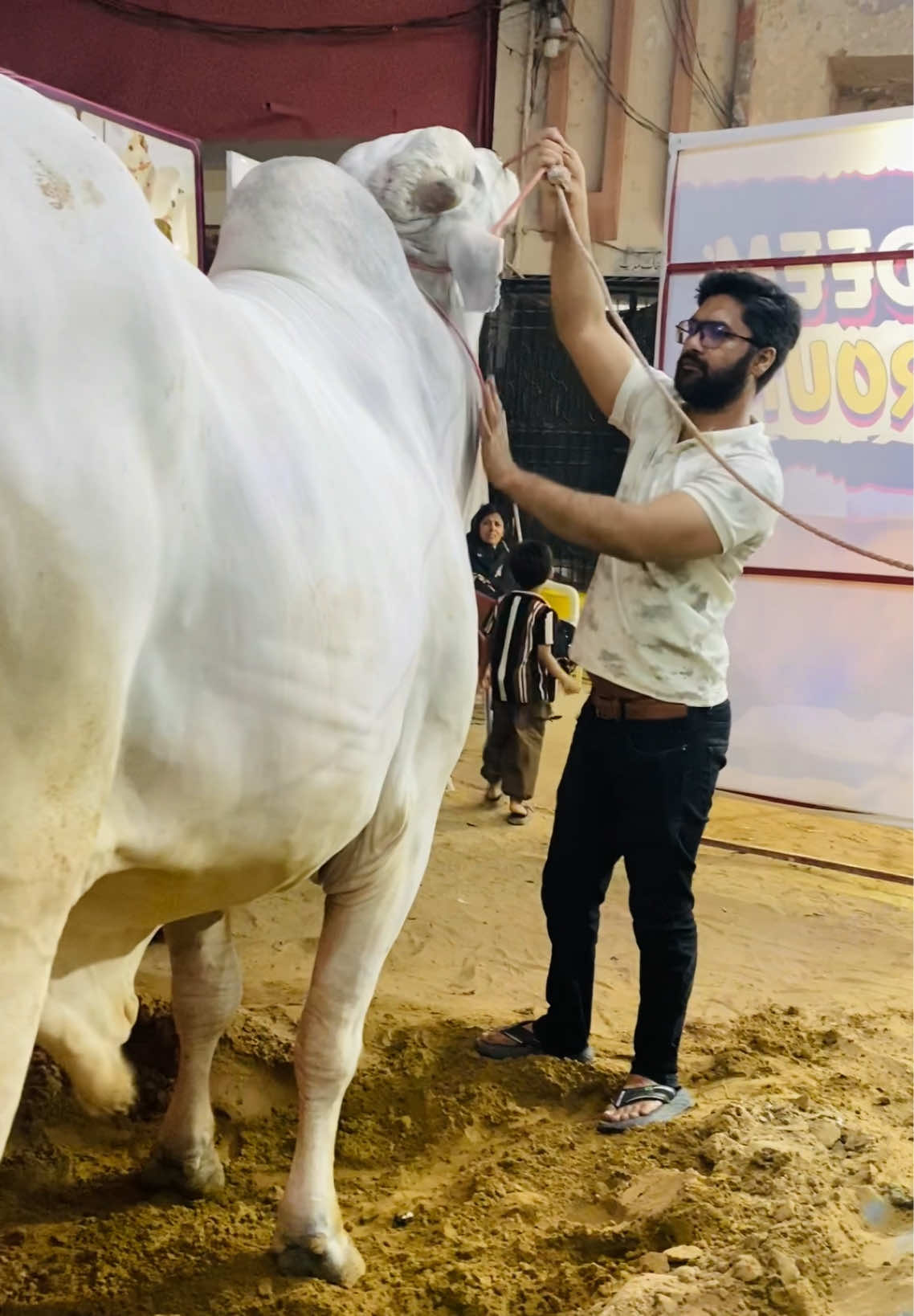 @Karachi Bull lovers