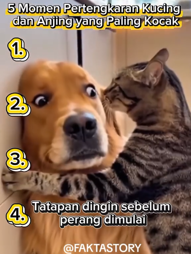 @NUNA TEMPLATE