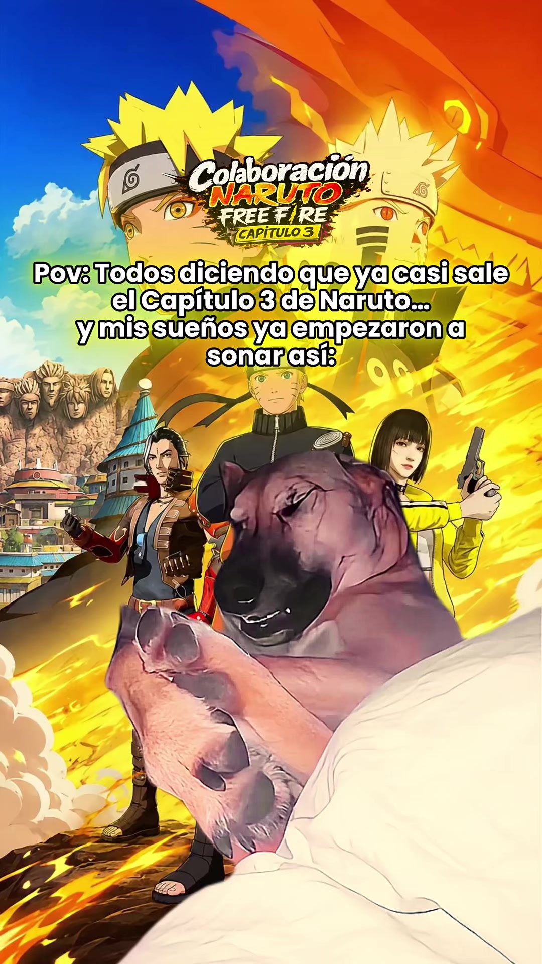 @ＧＡＭＯＲＡ