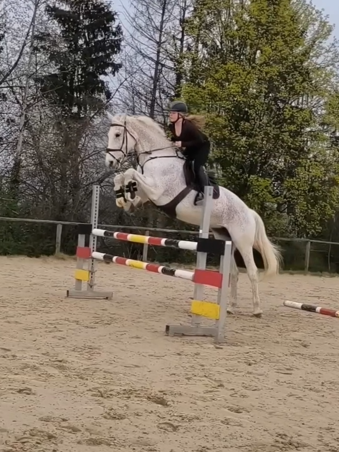@Spring"Pony"Casha