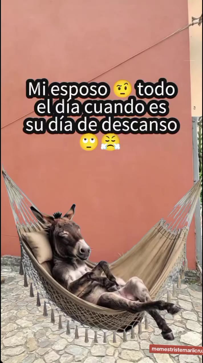 @memestristemariicruz🐈⬛ 🤣😔