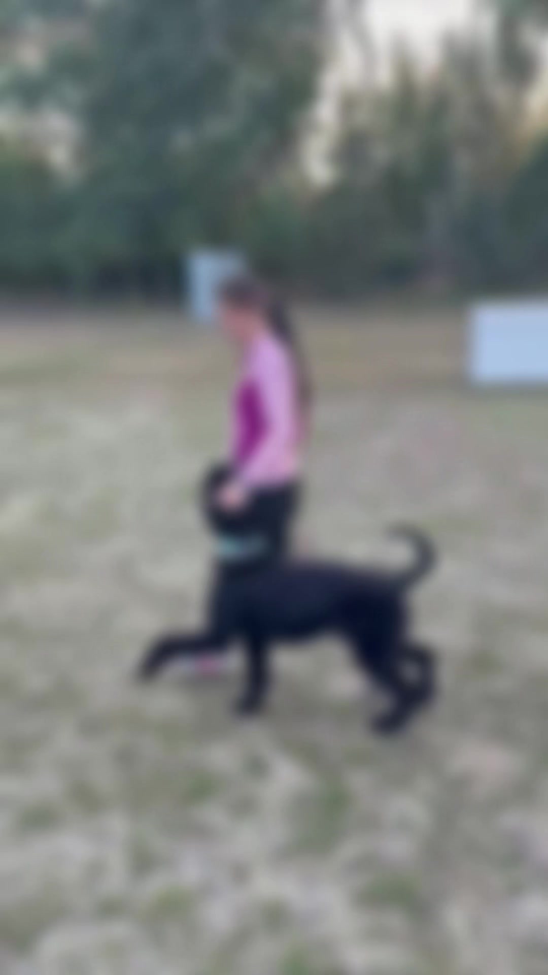 @Jasi&Tobi Dogsport