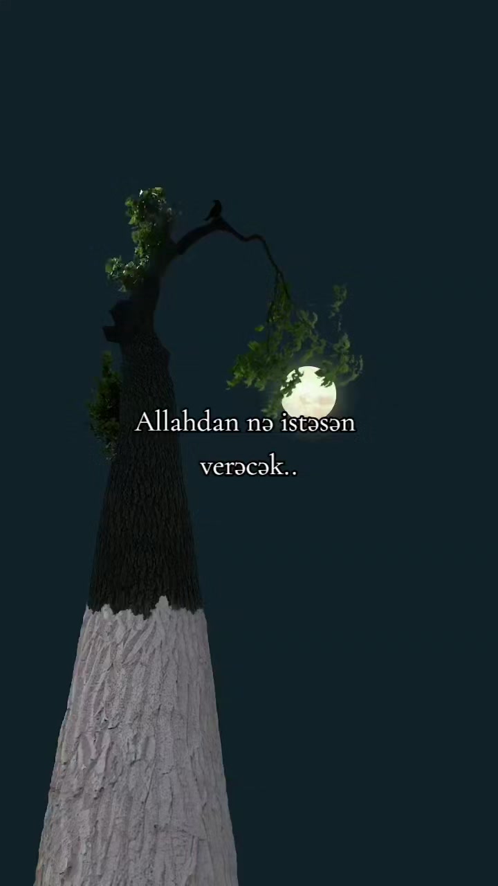 @𝐒𝐚𝐛𝐫_𝐘𝐨𝐥𝐮🌸🕋
