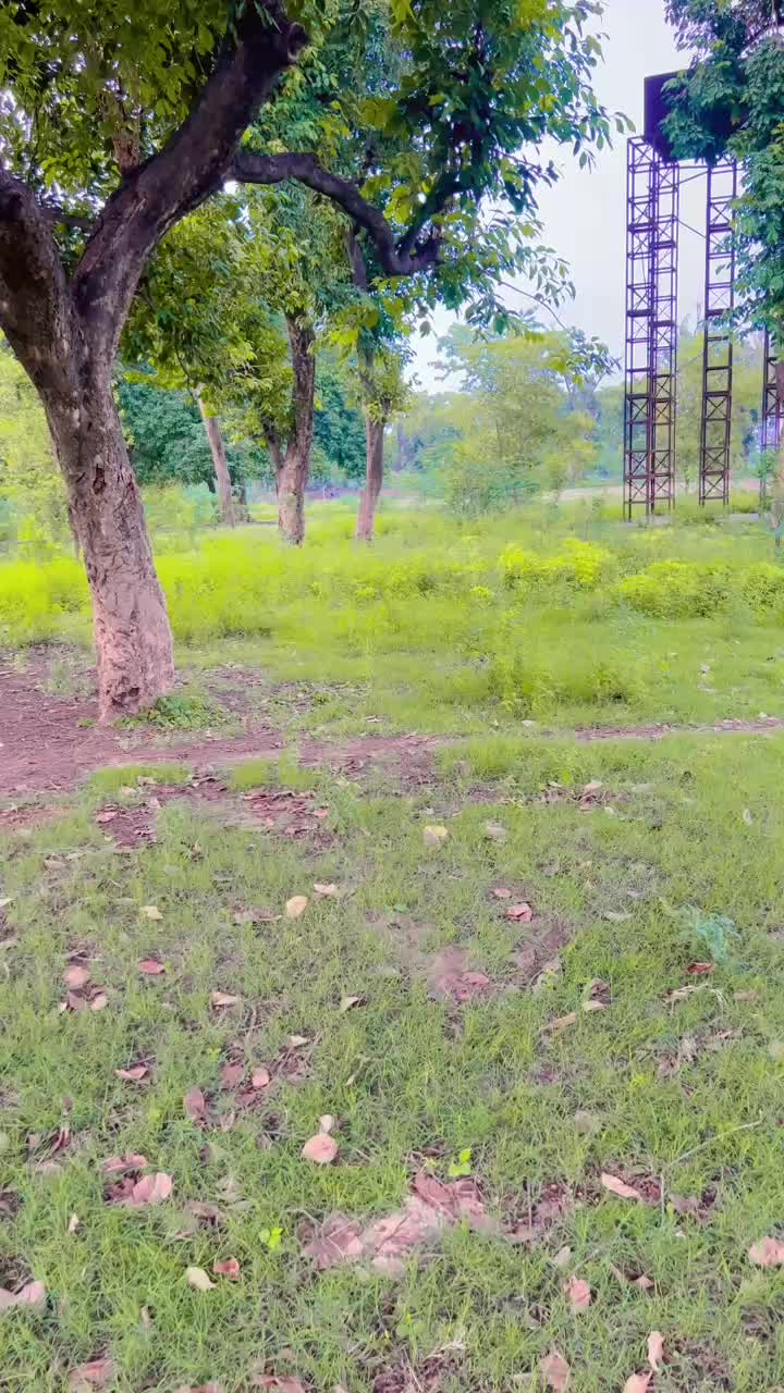 @میثم علی بسراء🚩🇵🇰✌️