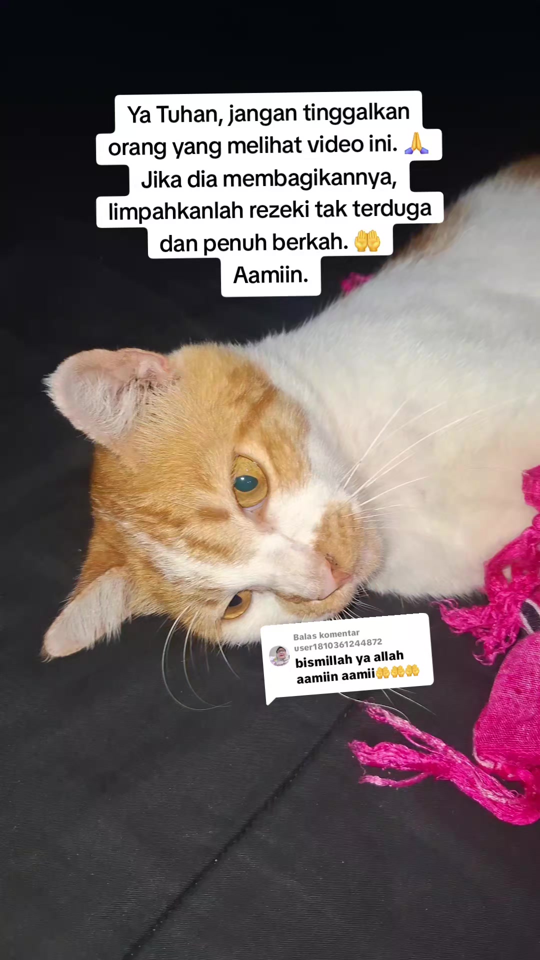 @dymakulinerⓂ️