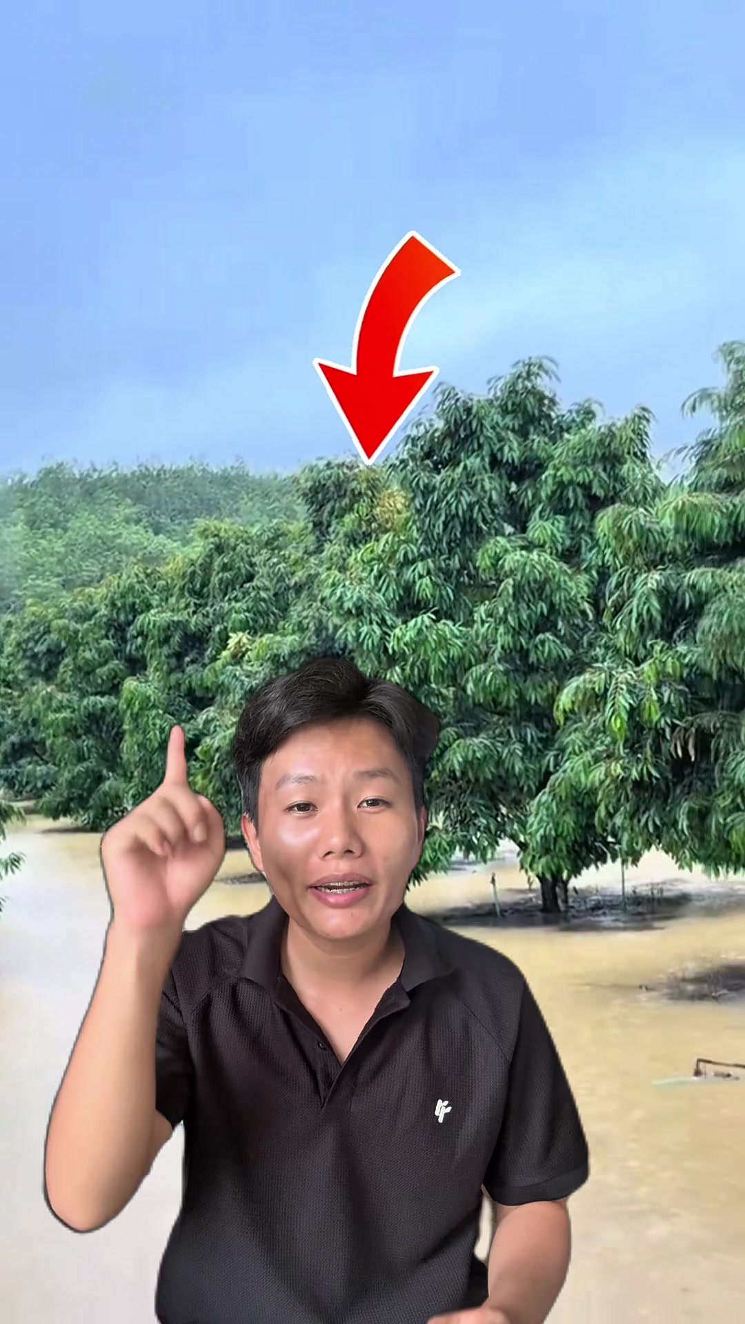 @Hộ Kinh Doanh H&agrave;o - Hưng