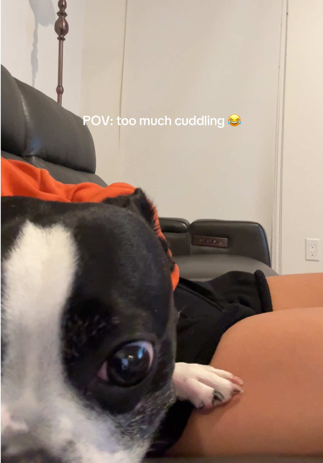 @LouieBostonT