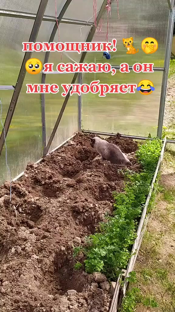 @Верунчик♥