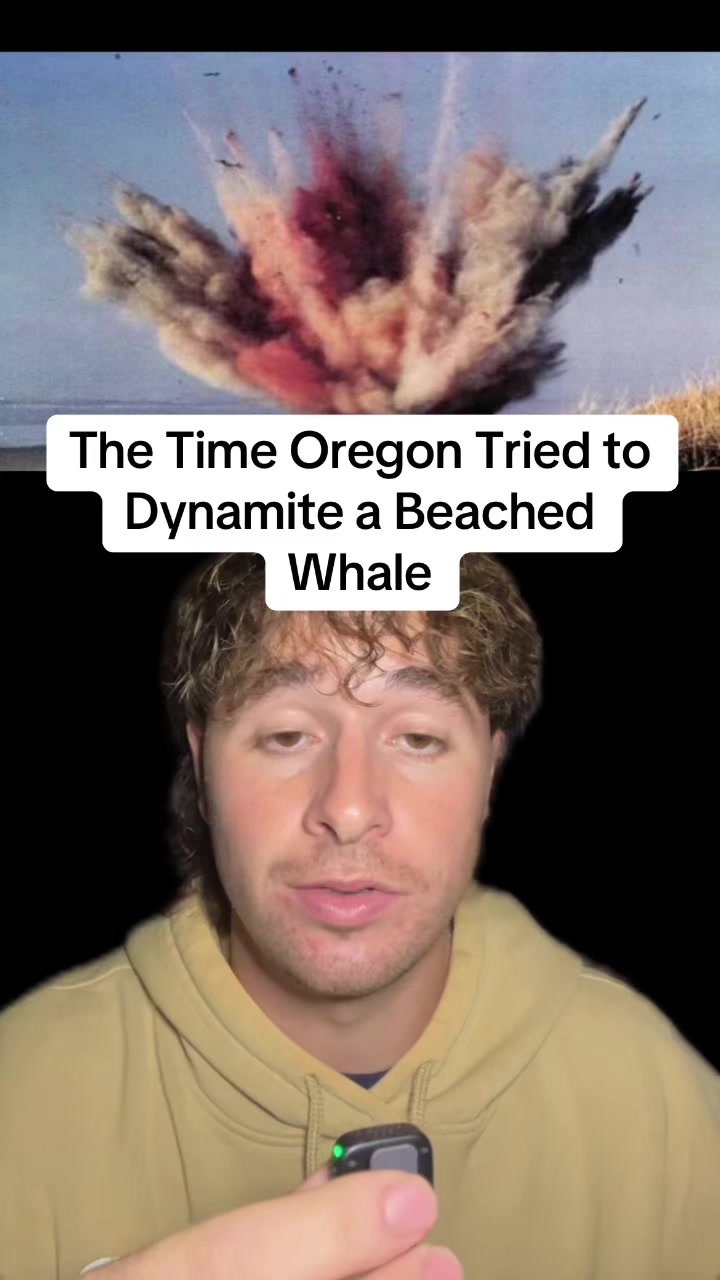 @Blayce