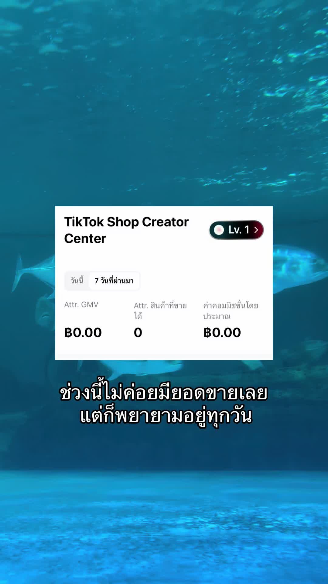 @นัทจิ๋วไม่กินผัก🥬