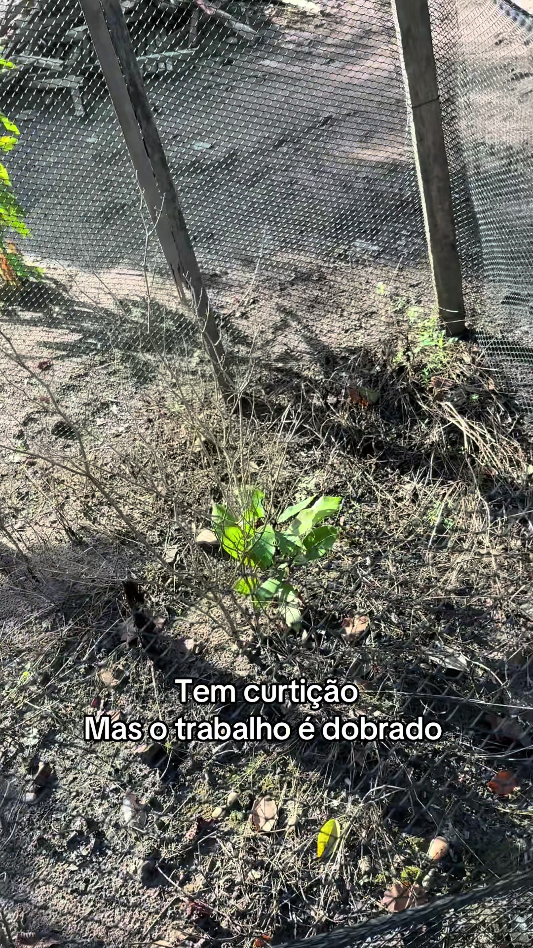 @Elinaria Jucielma