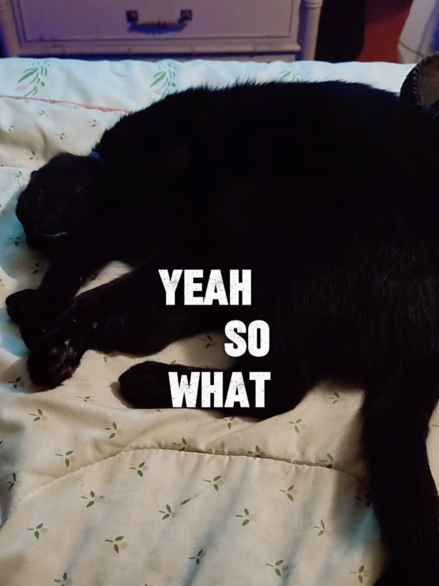 @𝘊𝘩𝘢𝘯𝘥𝘭𝘦𝘳𝘉𝘪𝘯𝘨_𝘈𝘍