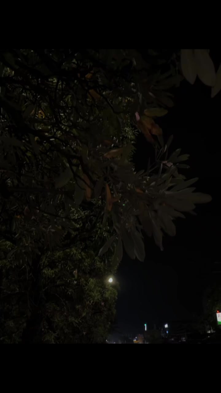 @𝐀𝐃𝐈𝐓 | 𝐓'𝐖𝐑𝐆