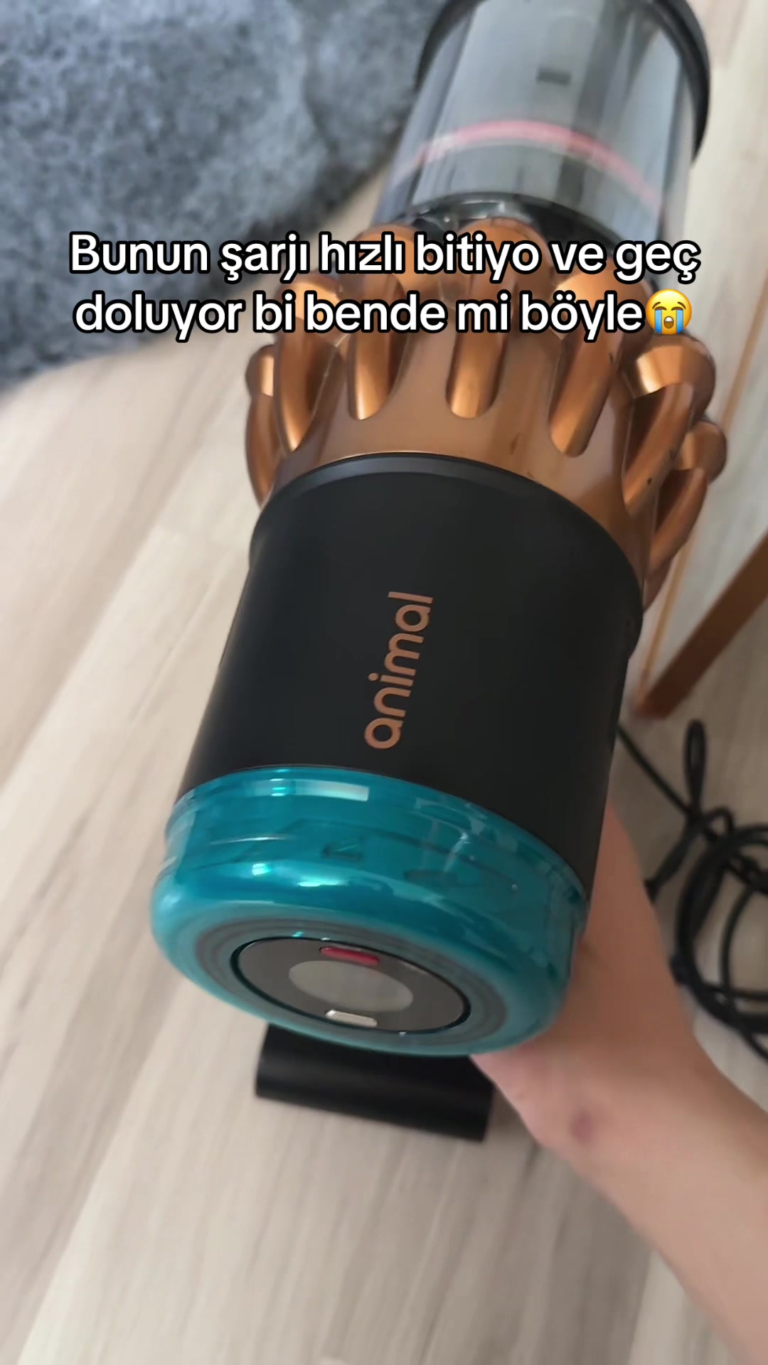 @bertan