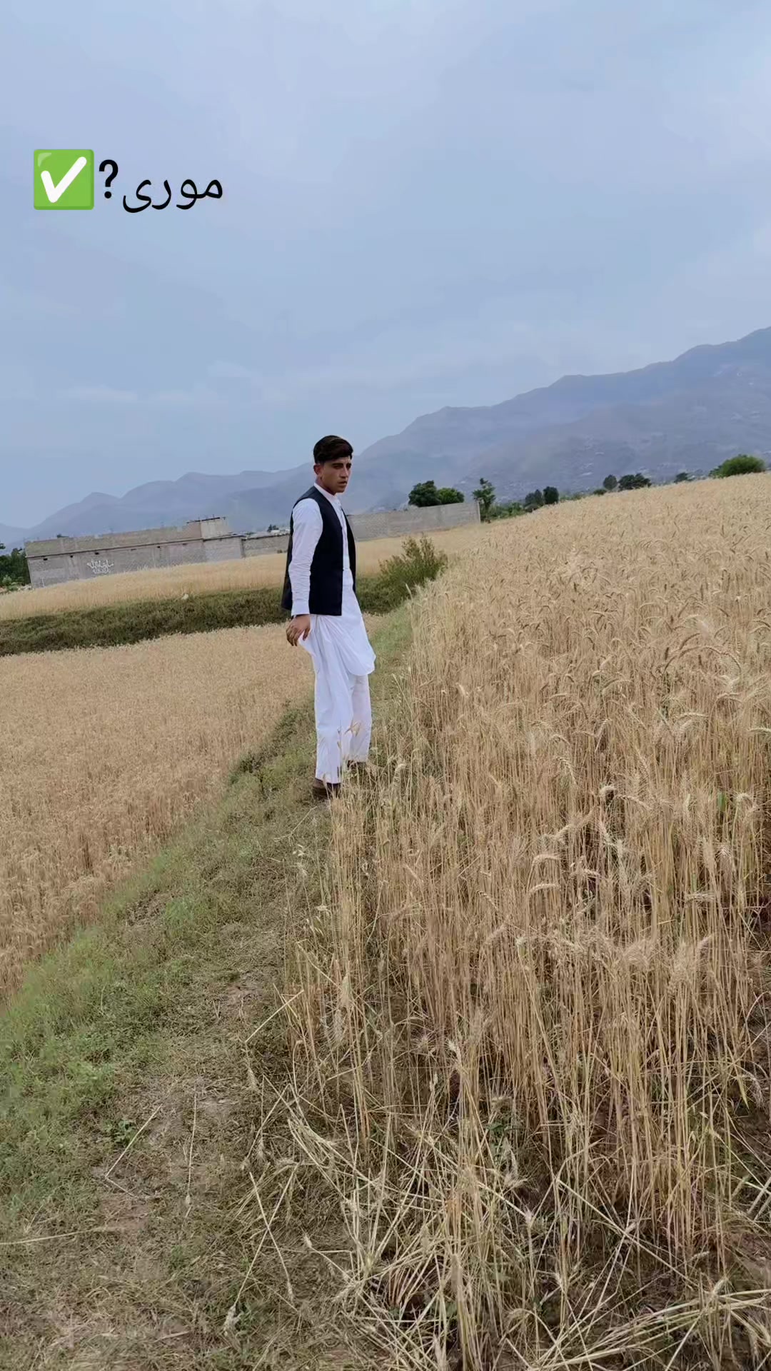 @BaSit Sahil 33