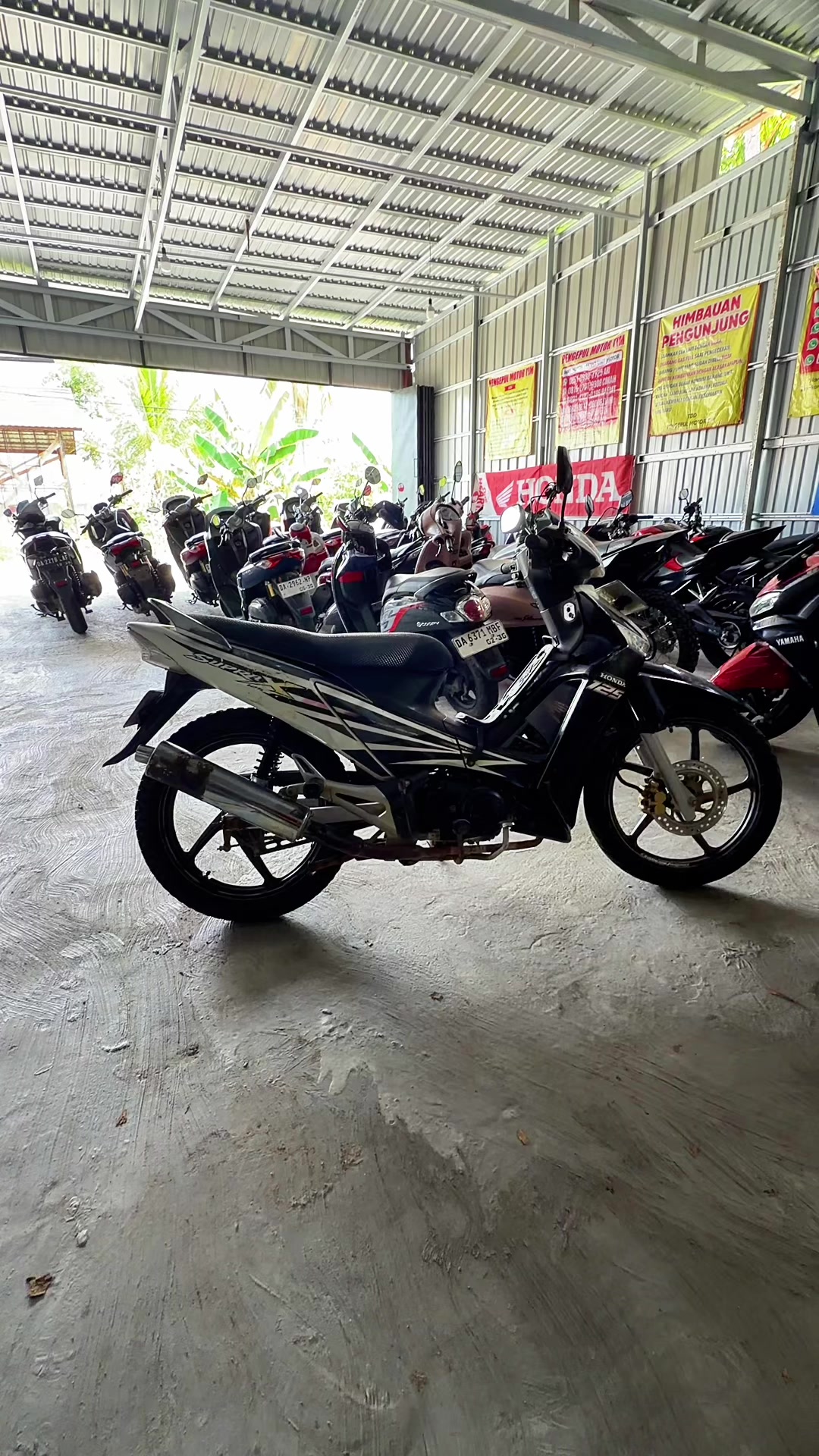 @pengepulmotortim