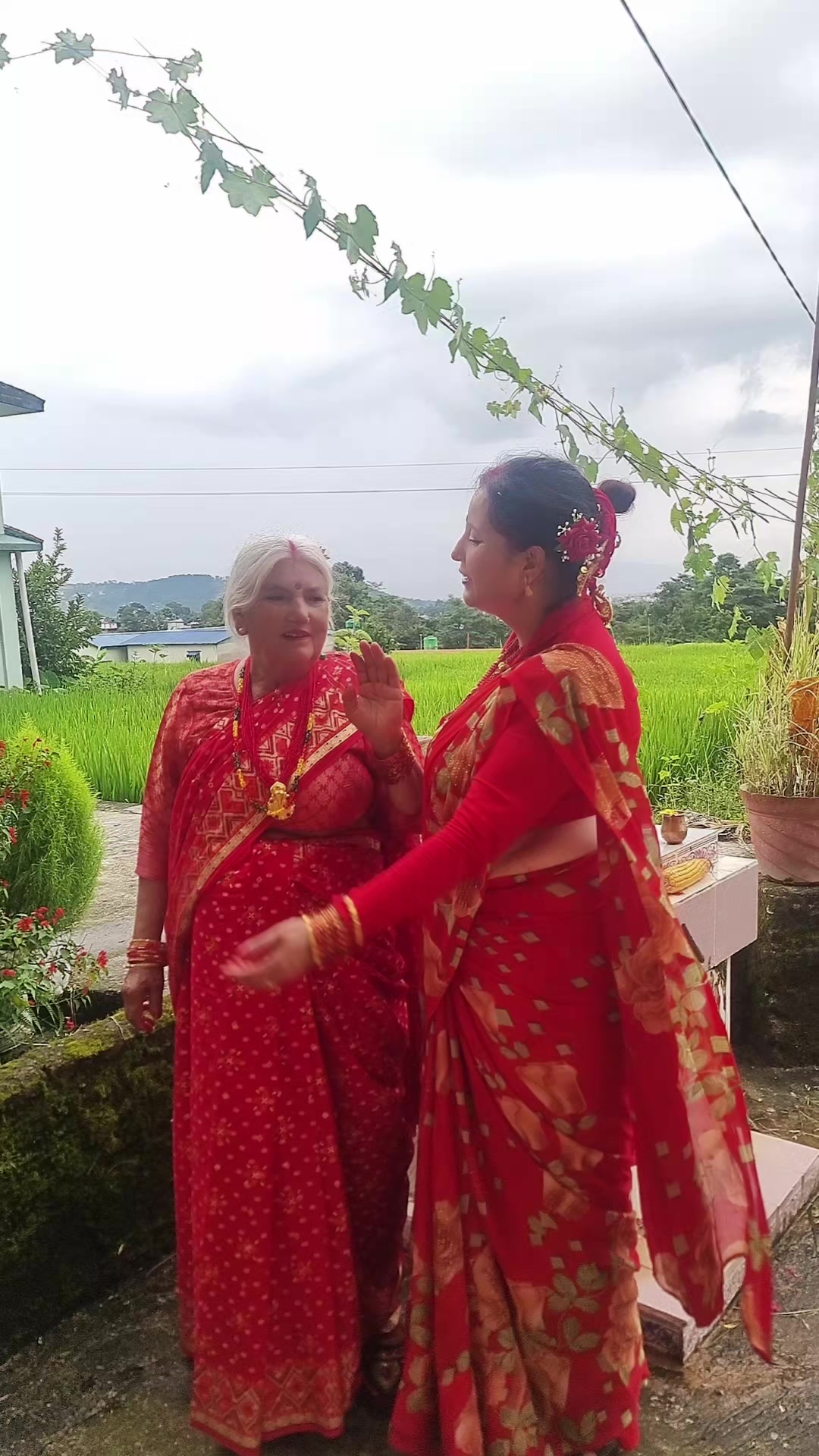 @Anushrer