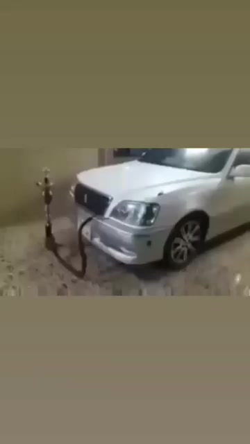 @يوسف