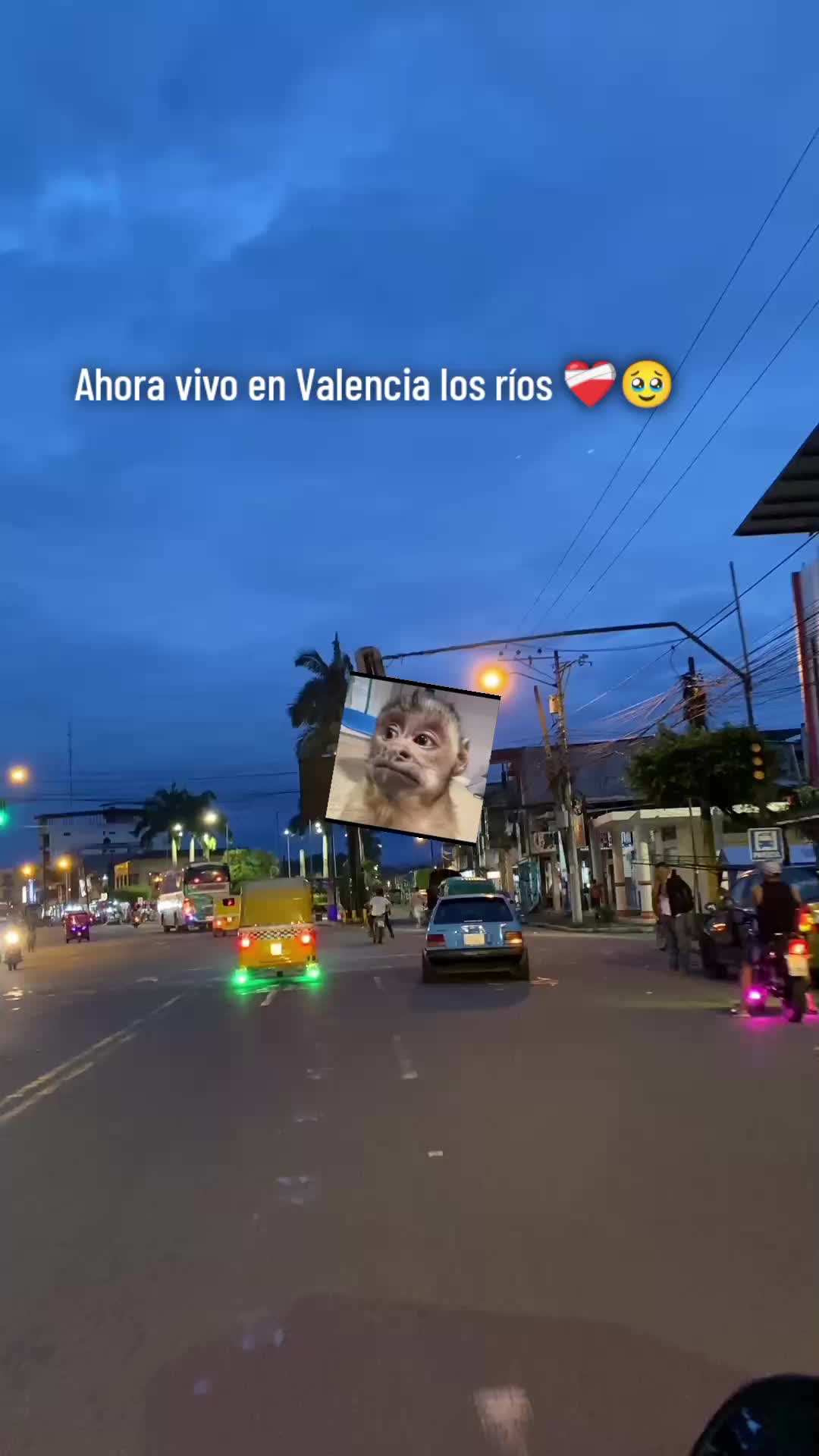 @🌸 Alisson ✨
