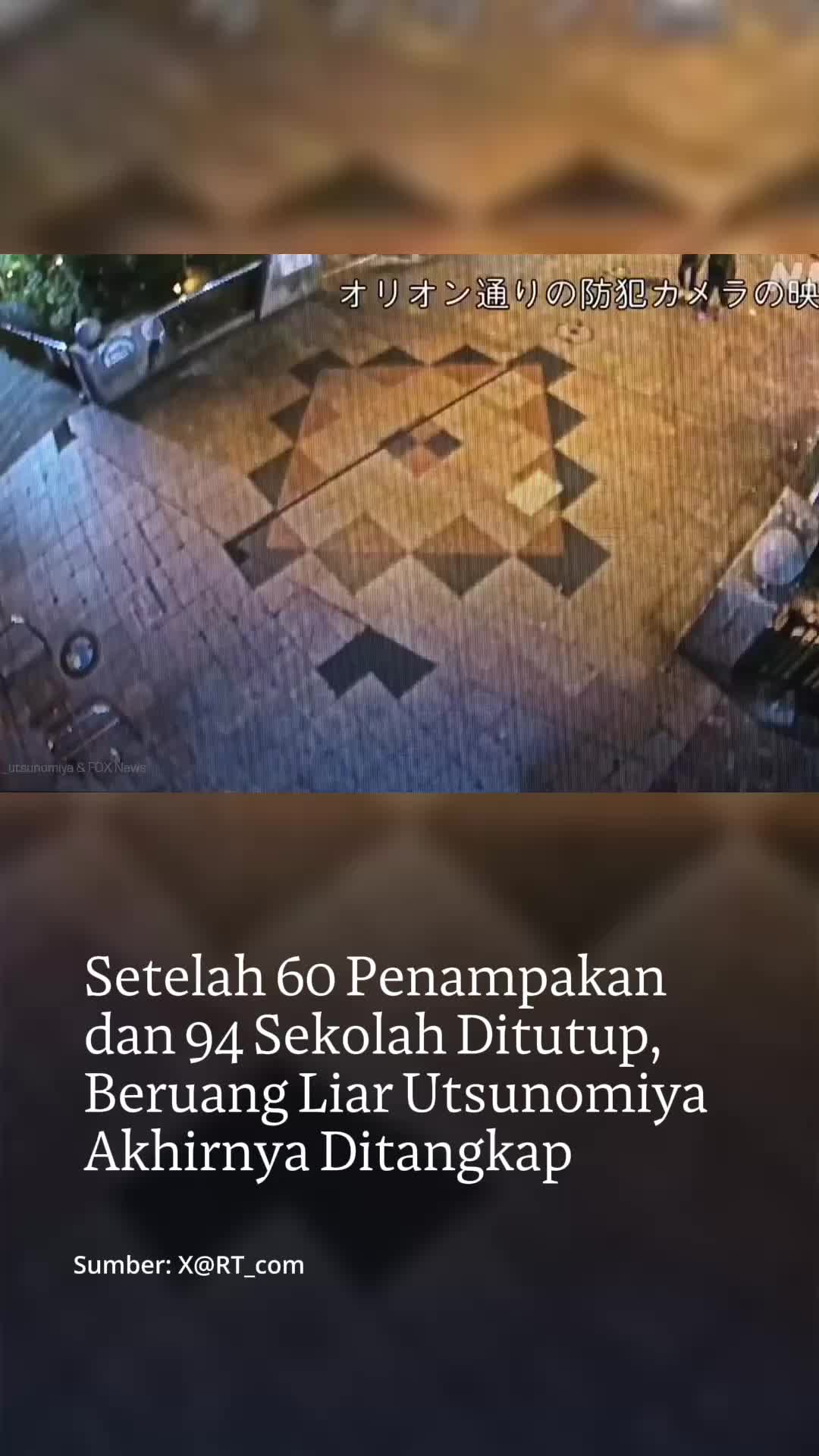 @mongabayindonesia