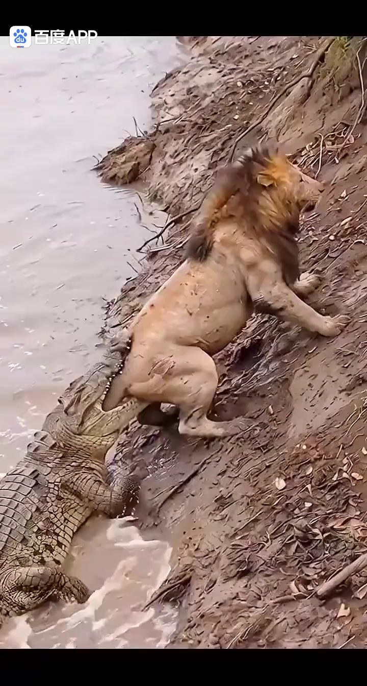 @药膳园