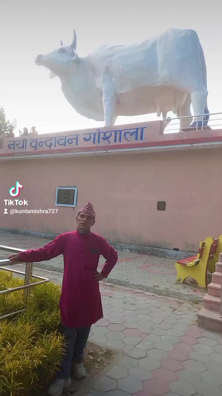 @kuntamishra727