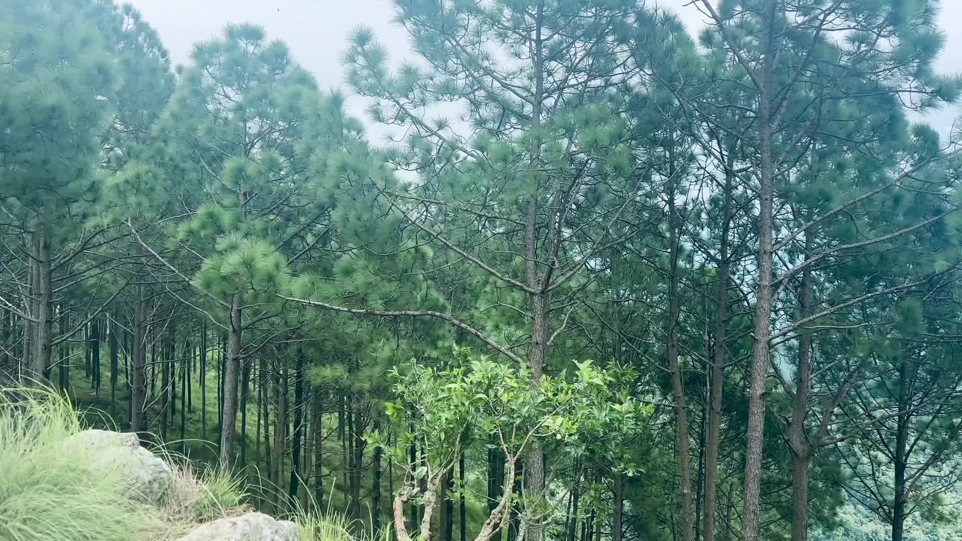 @SARU&hearts;️
