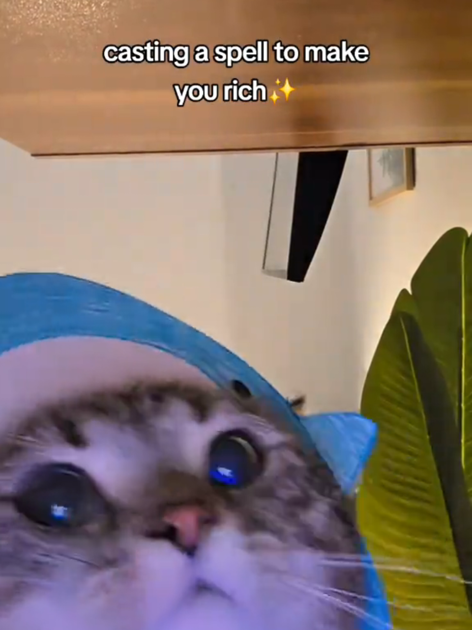 @Luka