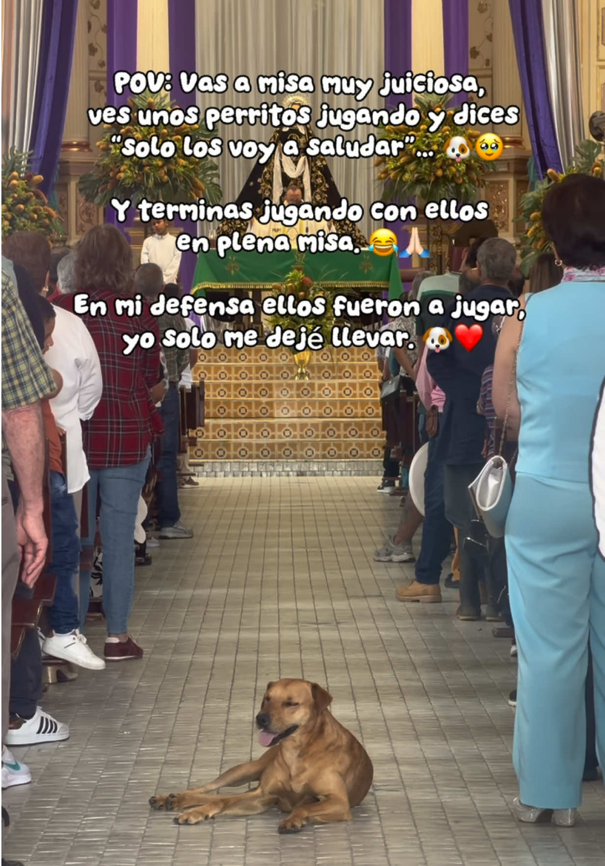@Mariana Parra