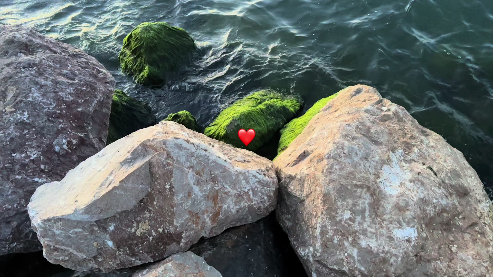 @𝒄𝒉𝒊𝒌𝒐𝒖🪬❤️
