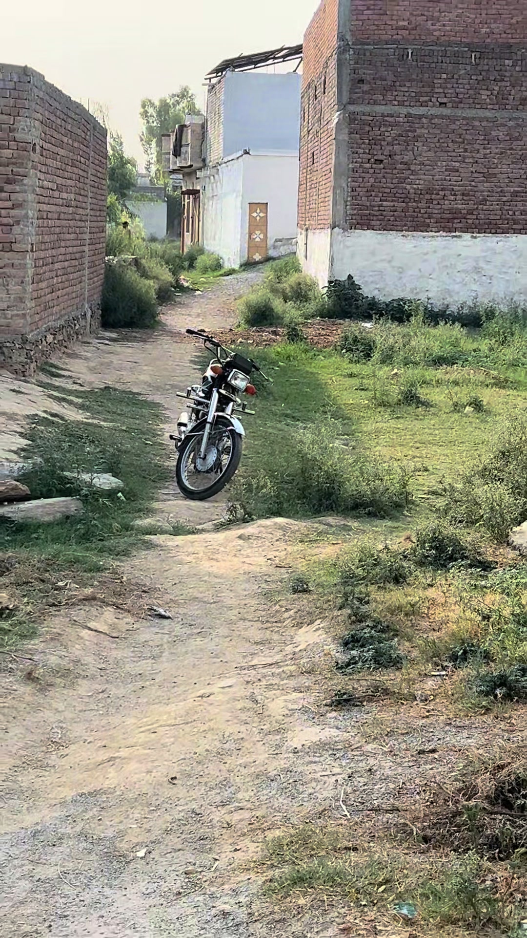 @irshadali4217
