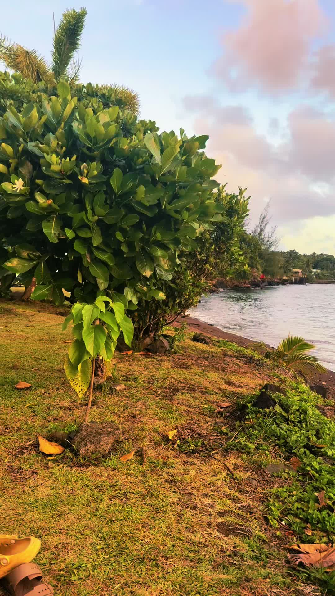 @🦋 LŪ 🦋