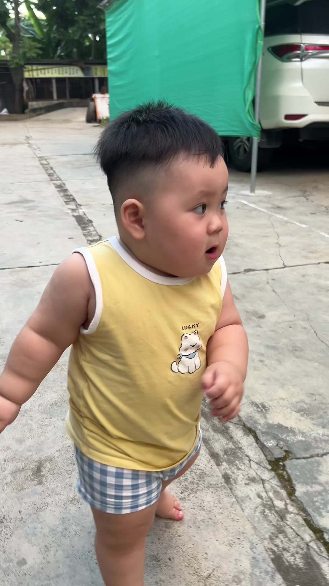 @Sứa biển🪼