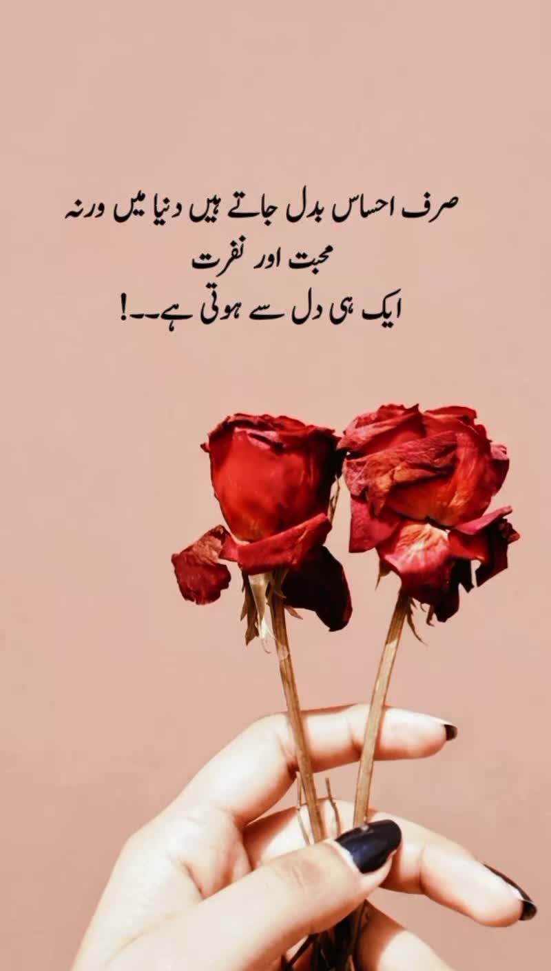 @Motivation Qoutes