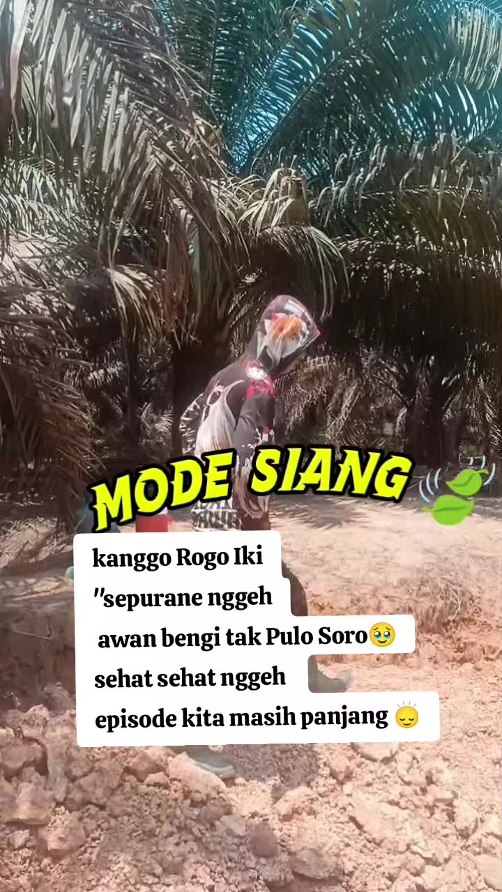 @Mas Damar 🪡