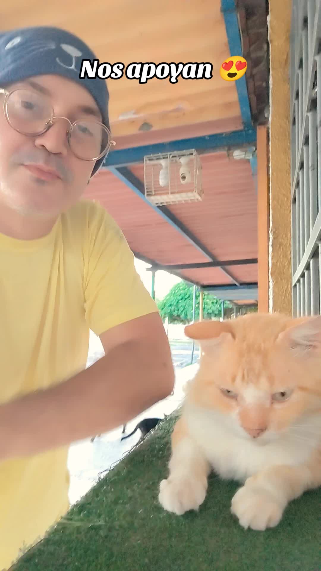 @Patitas y Garritas en la Calle