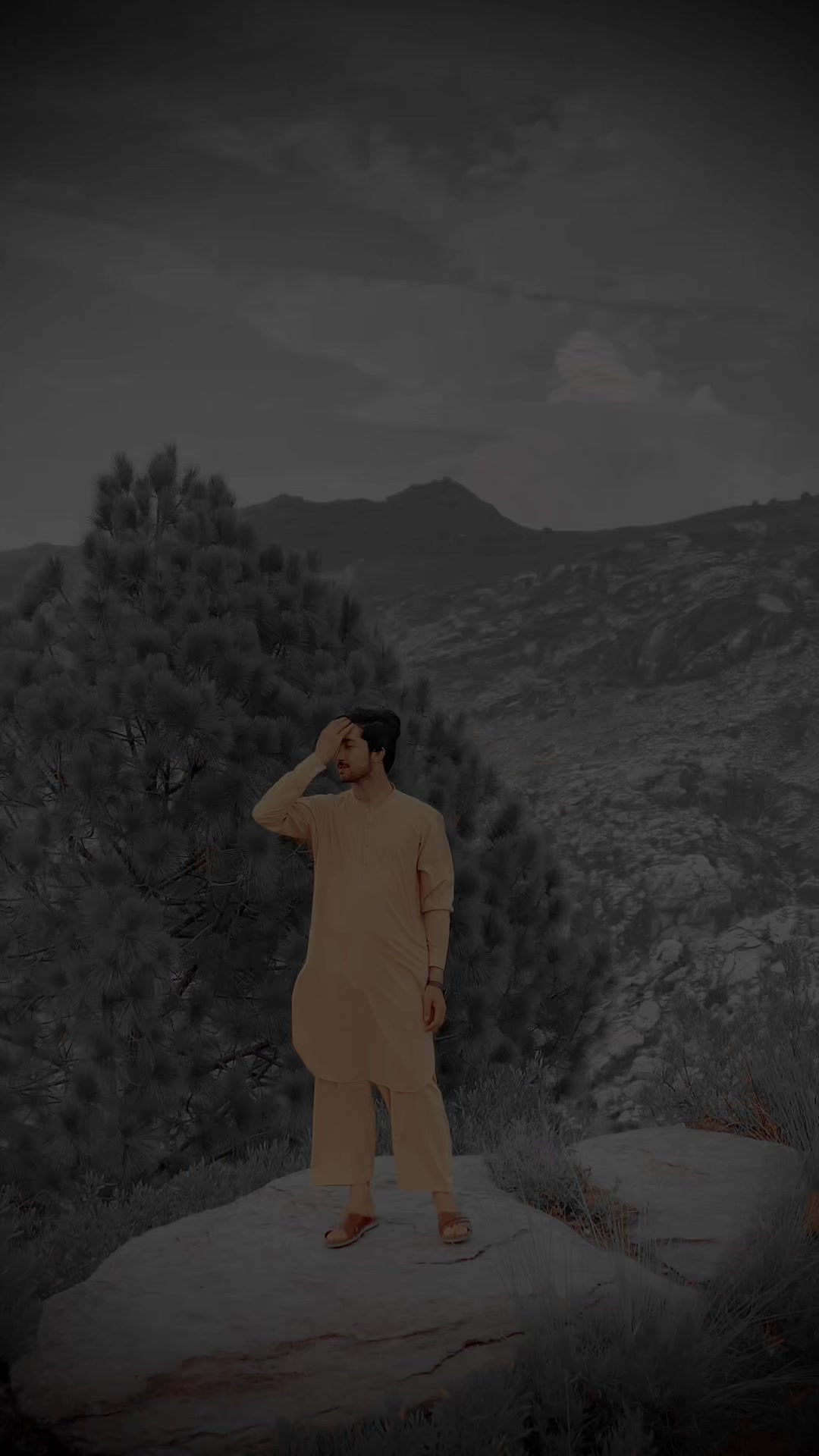 @wahabo🦅