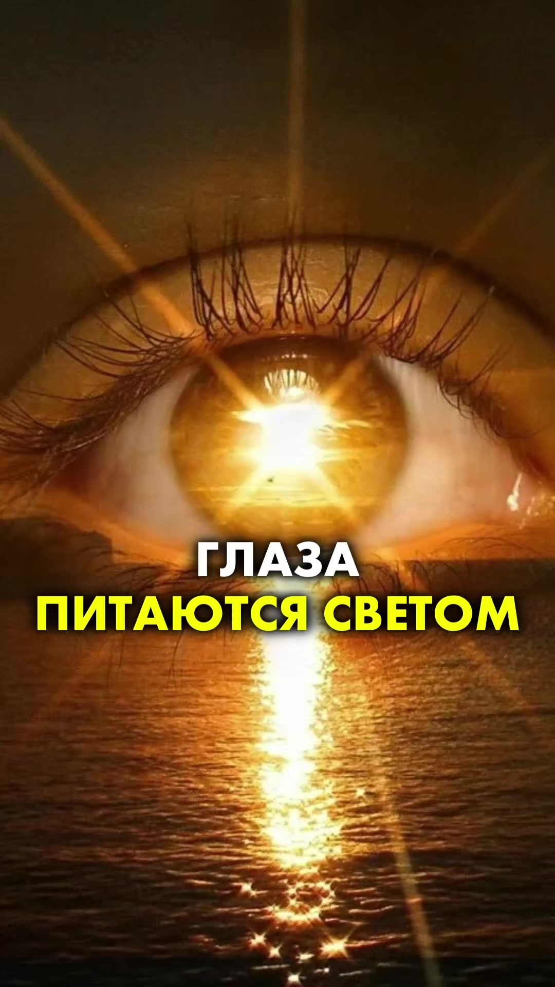 @Доктор Игорь Лузин