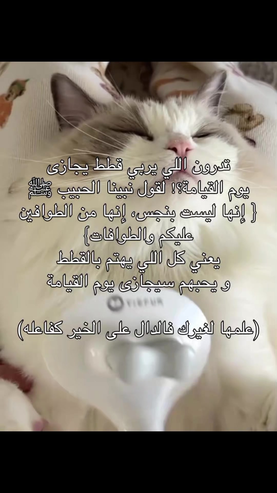 @๐๐ฟ๐ถ๐ป๐ฒ๐
