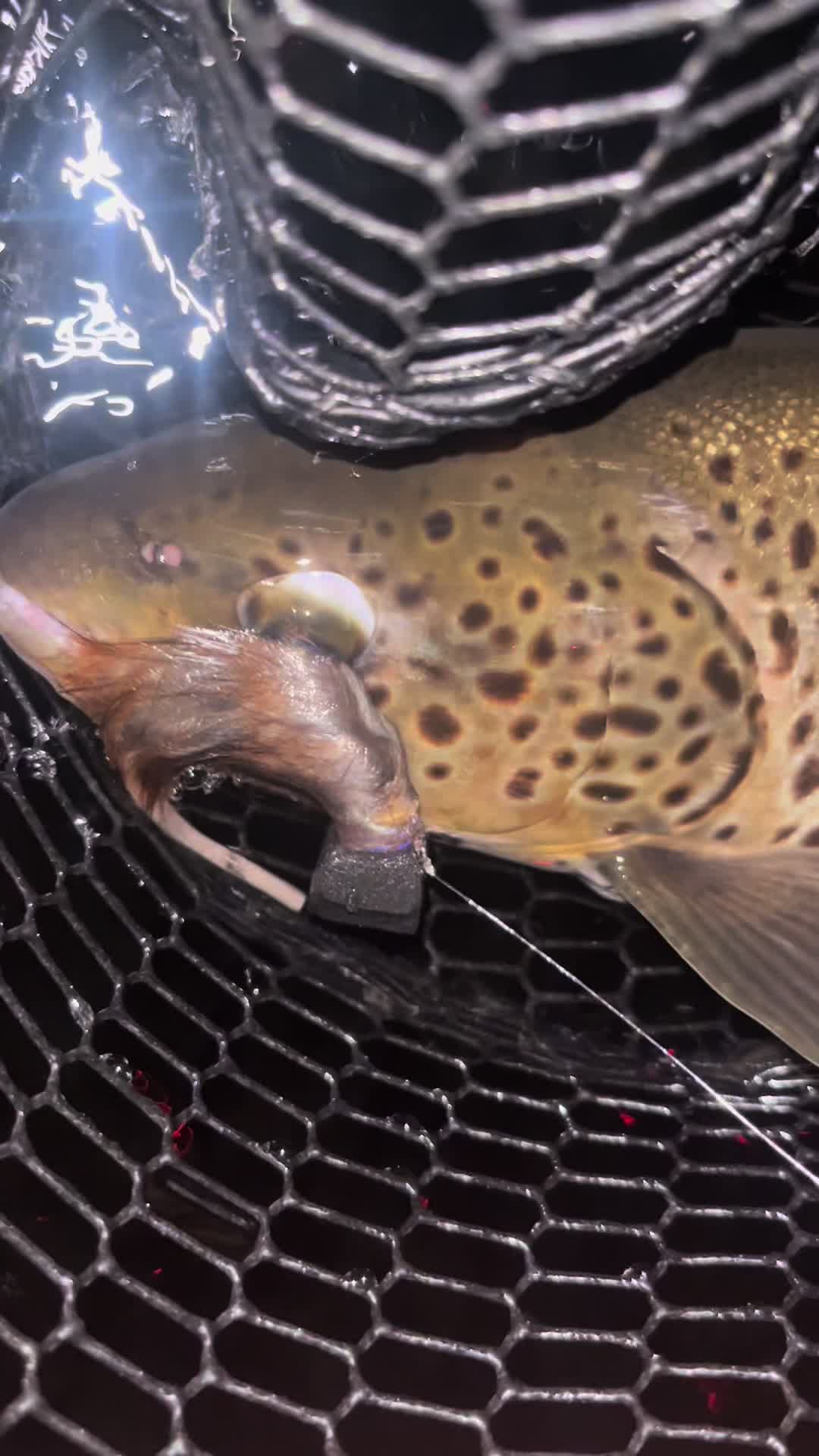 @lucky.hat.fly.fishing