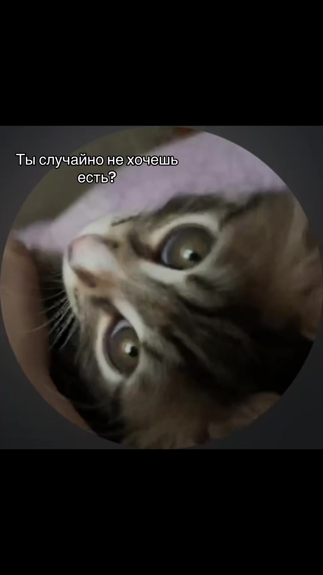 @Севка🦢