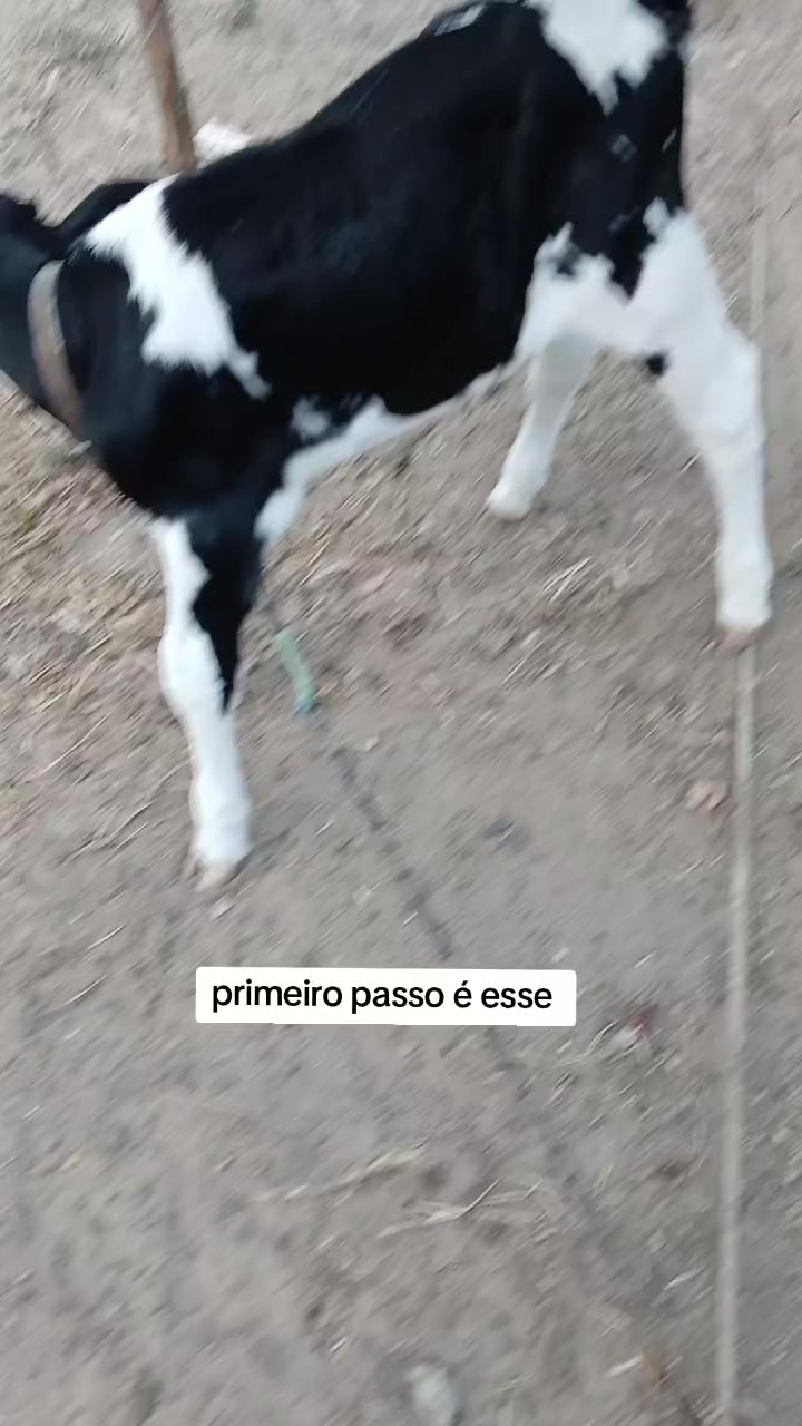 @jocriador