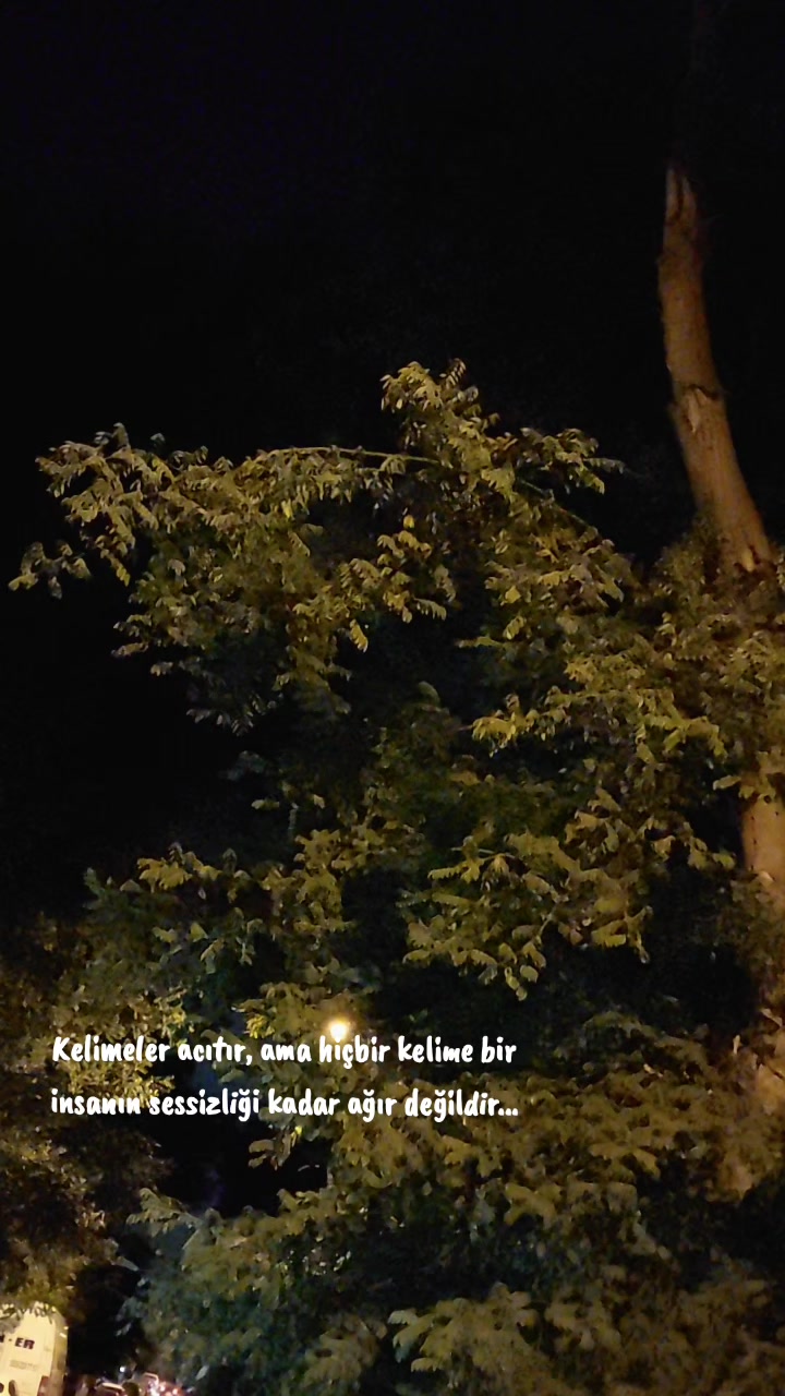 @G&ouml;khan Atay 0653