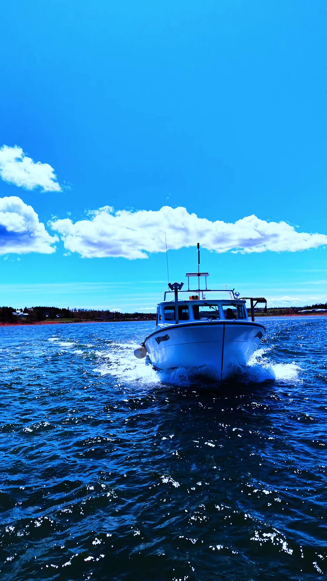 @Maritime hitman(DARC)
