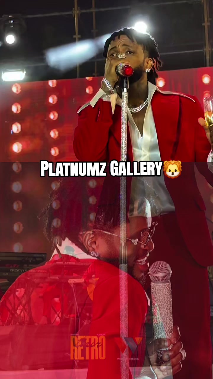 @Platnumz Gallery🦁