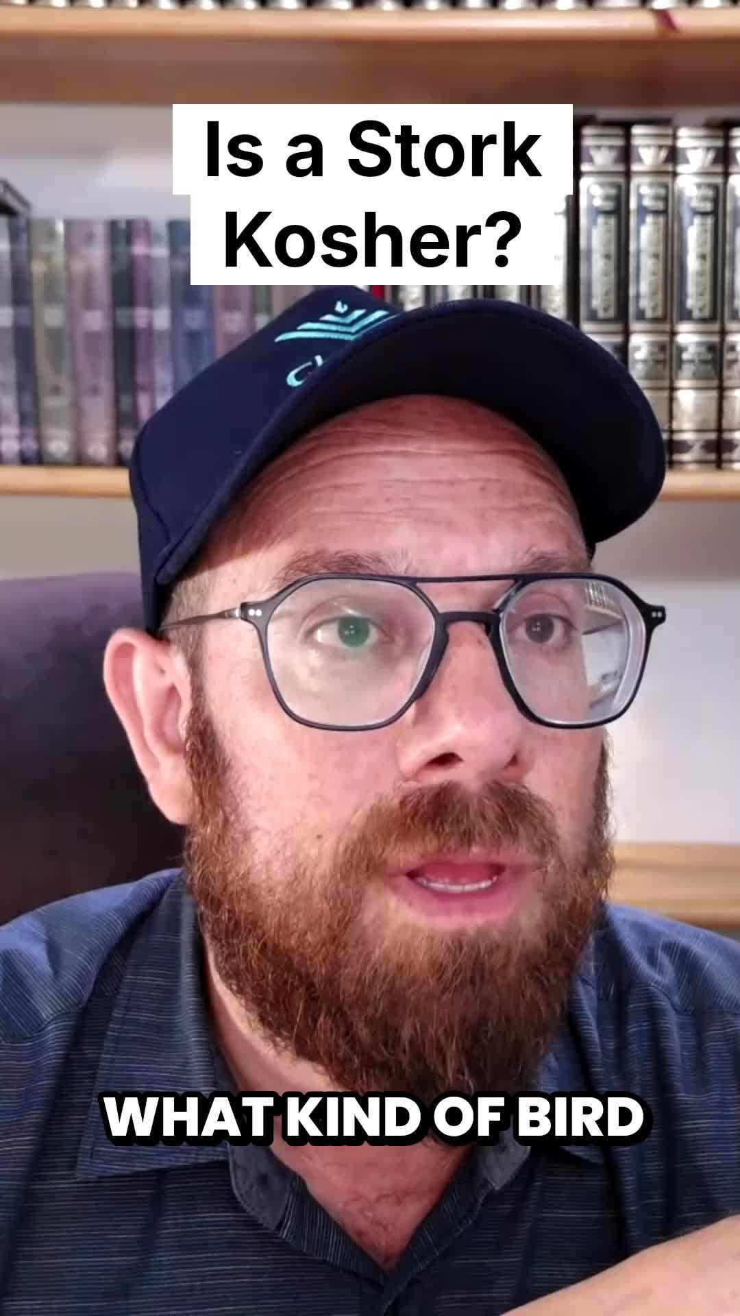 @Humans 4 Noah