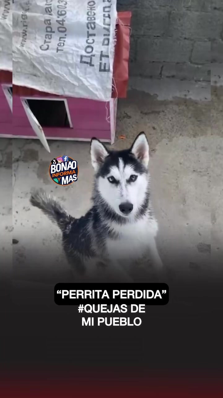 @BonaoinformaYmas